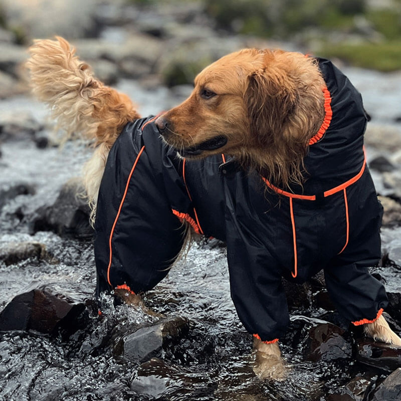 Giacca per cani grandi da esterno impermeabile, regolabile, mantella per la pioggia per cani.