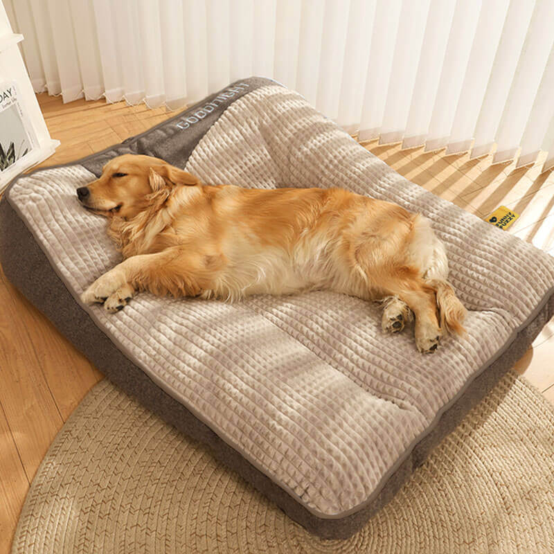 Cuscino per Cane Resistente ai Graffi con Protezione Spinale