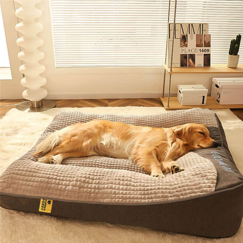 Grande cuscino per cani con protezione per la colonna vertebrale antigraffio e spesso