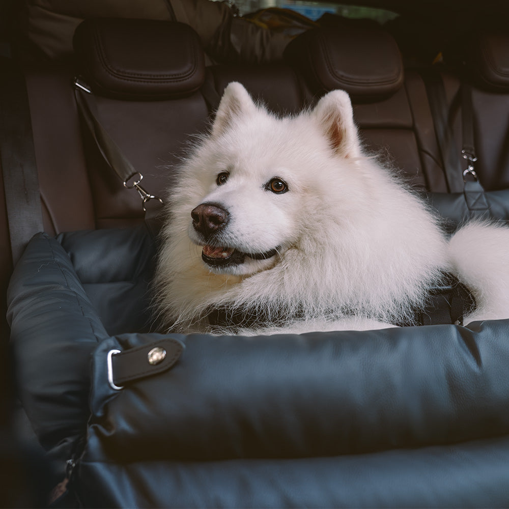 Letto Rialzato Deluxe Per Cani In Finta Pelle – Urban Voyager