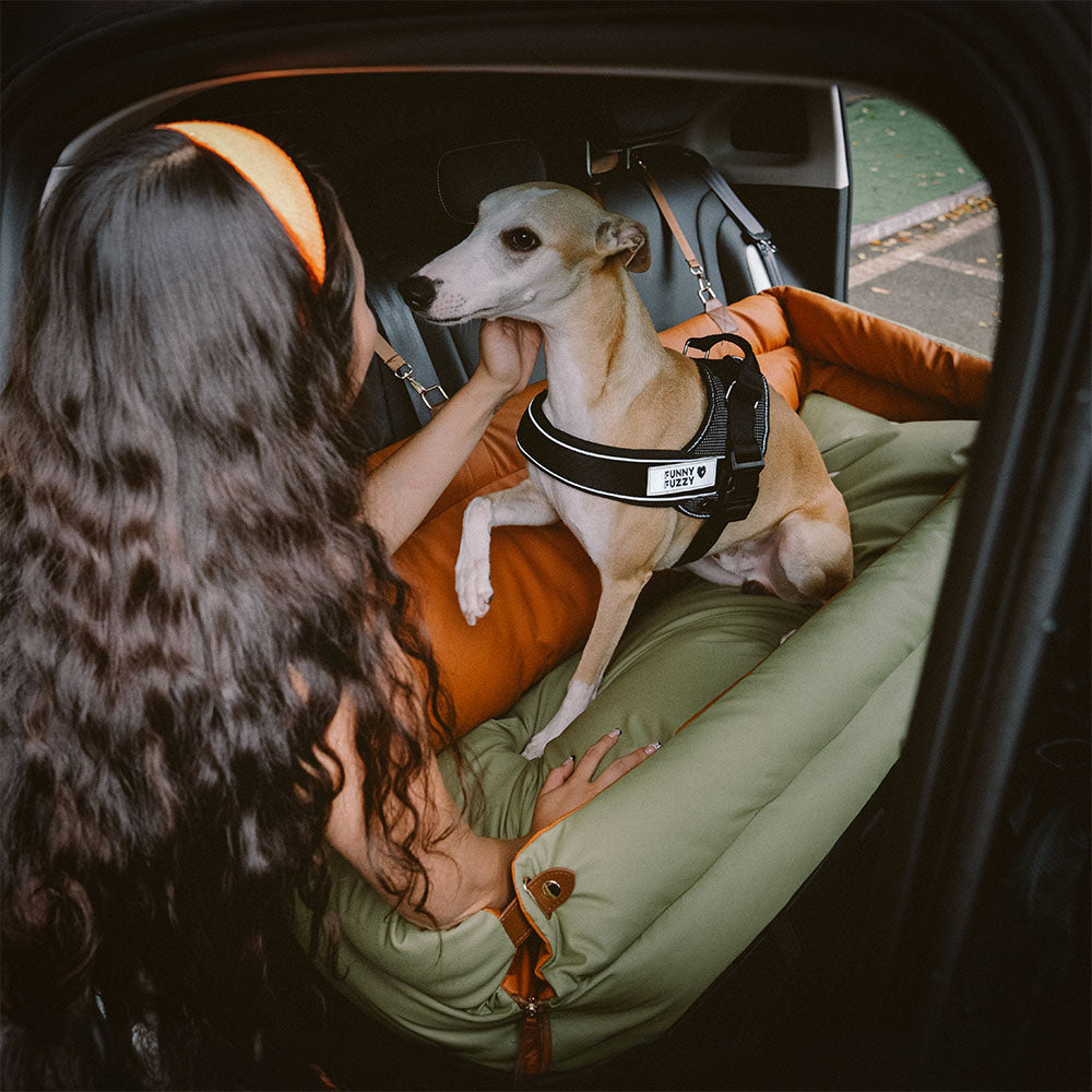Letto Rialzato Deluxe Per Cani In Finta Pelle – Urban Voyager