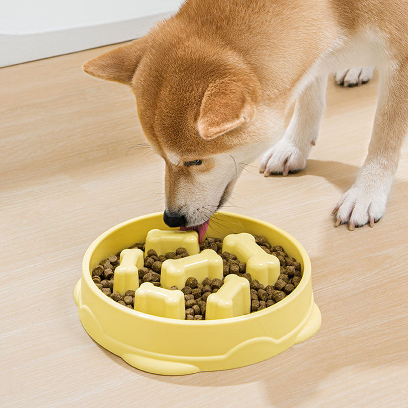 Bol Slow Food antidérapant pour chien jaune citron
