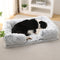 Long Plush - Lit pour chien à sommeil profond à support carré