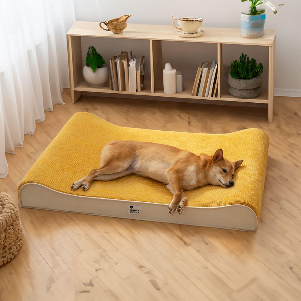Lussuosa poltrona lounge per cani Nobility Lettino per cani ortopedico