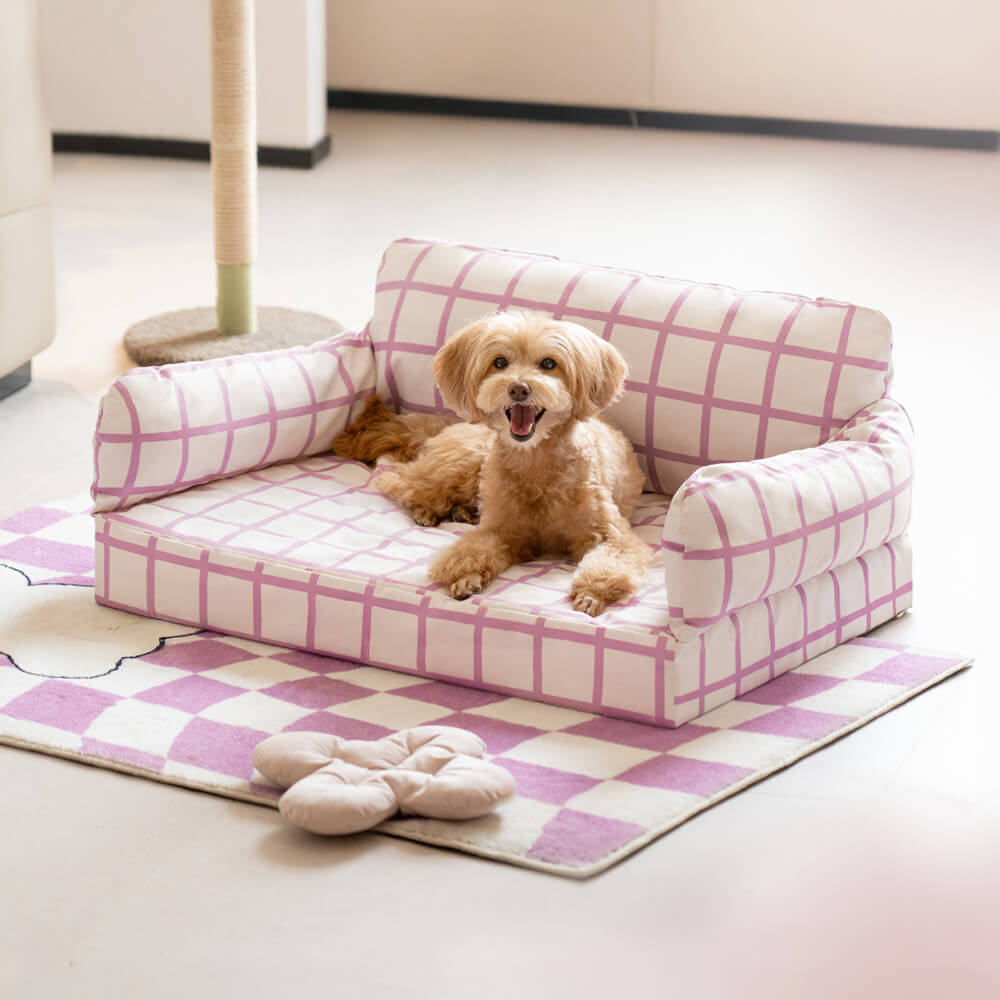 Letto per cani ortopedico impermeabile a blocchi di colore moderno e di tendenza