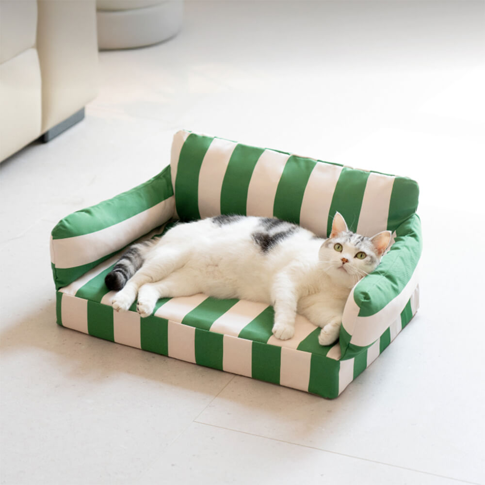 Letto per cani ortopedico impermeabile a blocchi di colore moderno e di tendenza