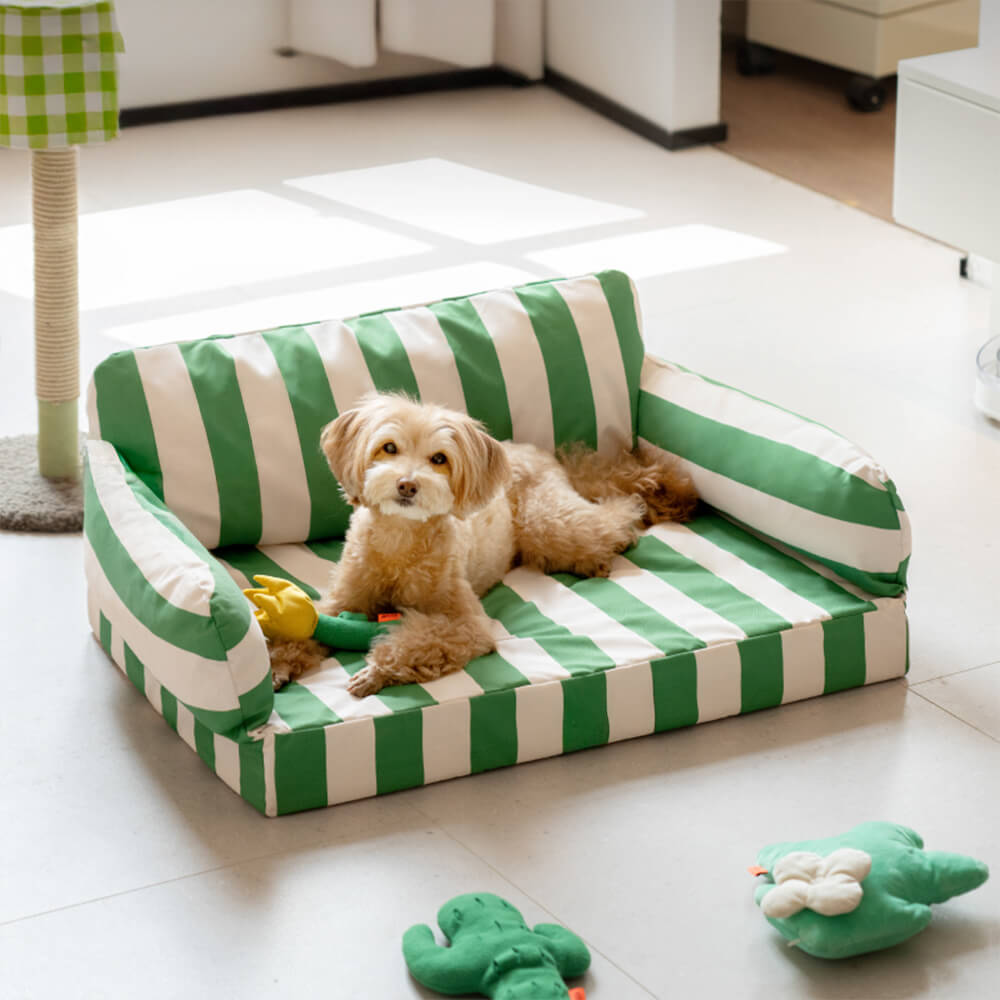 Letto per cani ortopedico impermeabile a blocchi di colore moderno e di tendenza