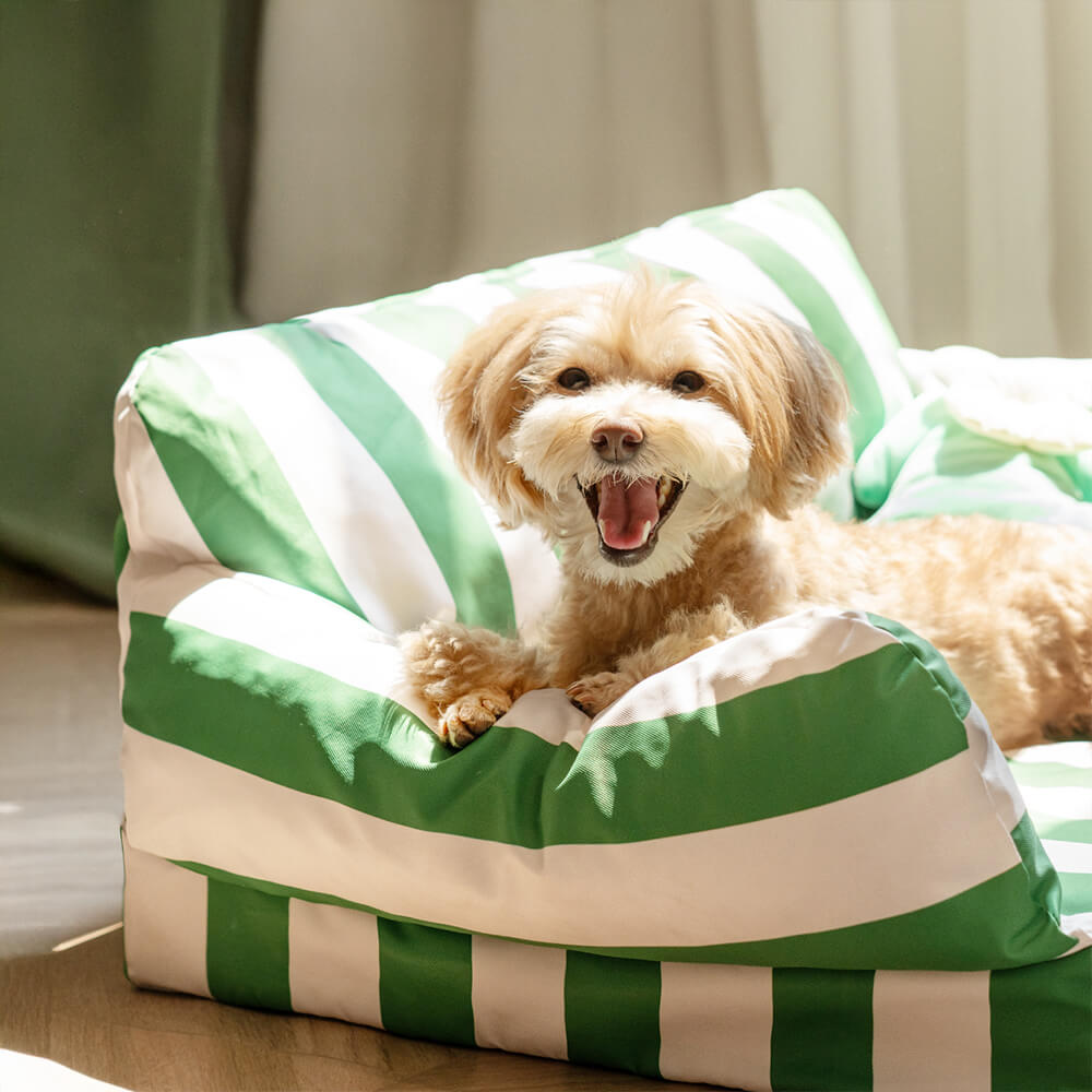 Letto per cani ortopedico impermeabile a blocchi di colore moderno e di tendenza