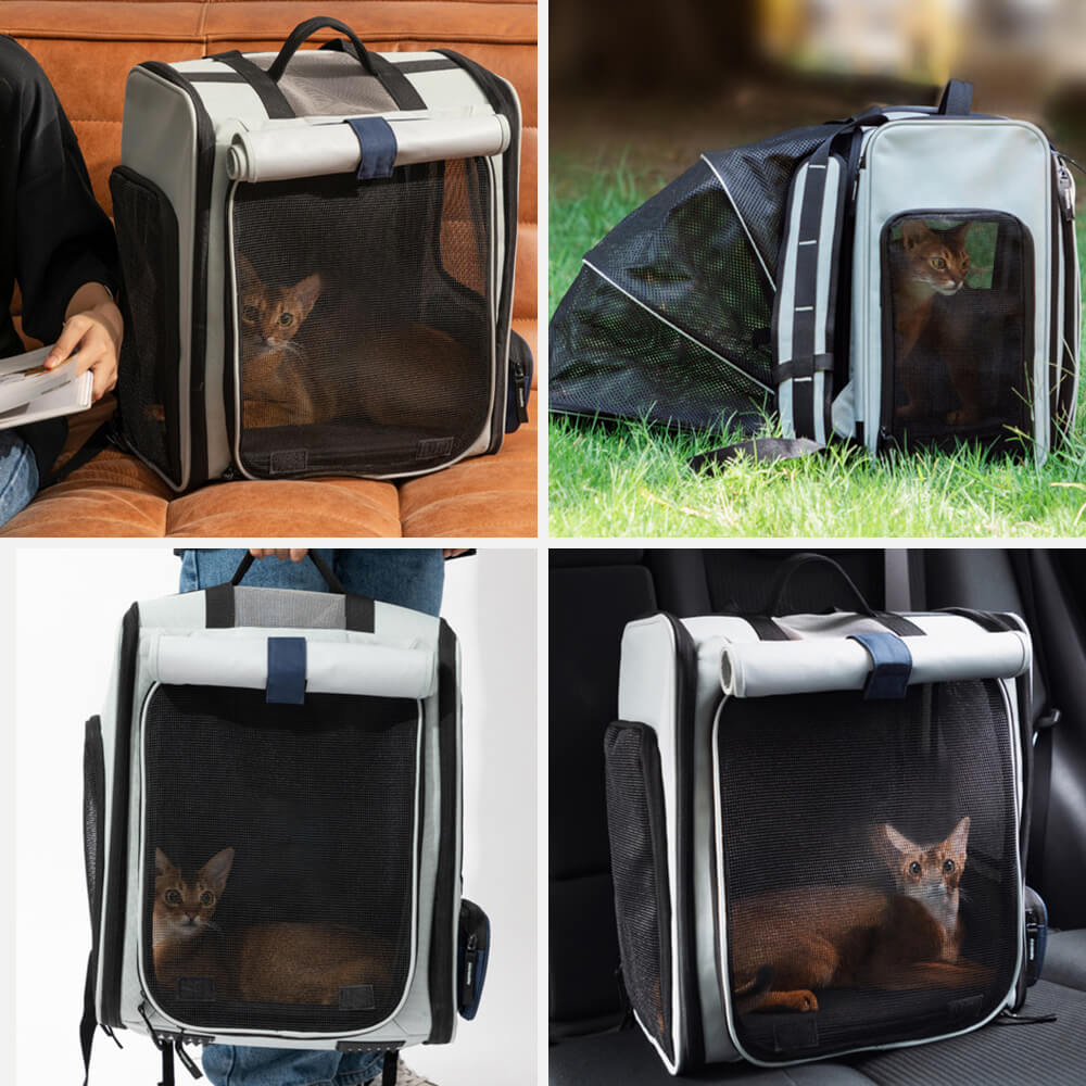 Zaino per gatti con borsa per animali domestici all'aperto, espandibile, multifunzionale, per grandi spazi