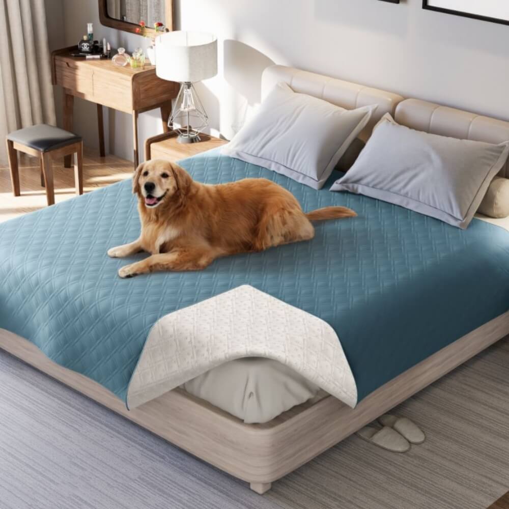 Coperta per animali domestici impermeabile multifunzionale, protezione per materasso, lenzuolo piatto