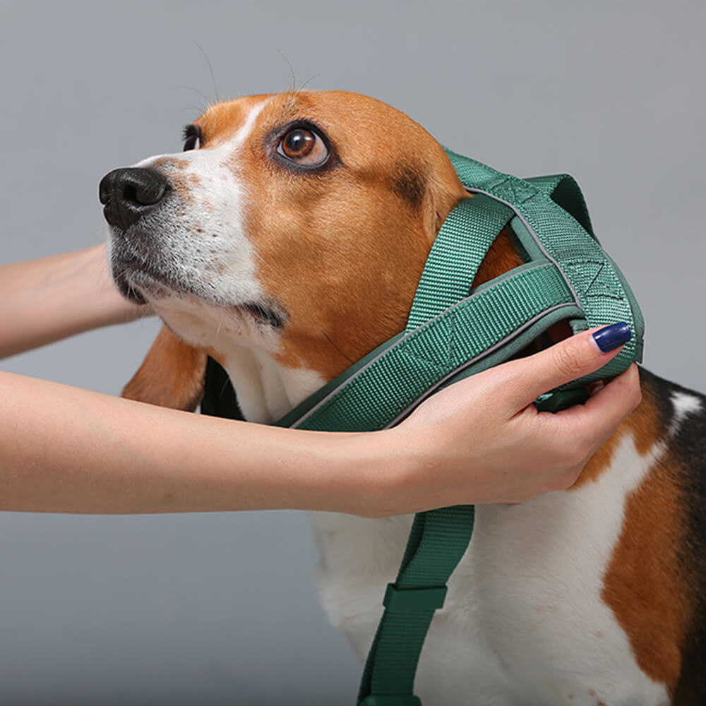 Collare e guinzaglio per cani in nylon riflettente regolabile senza tirare.