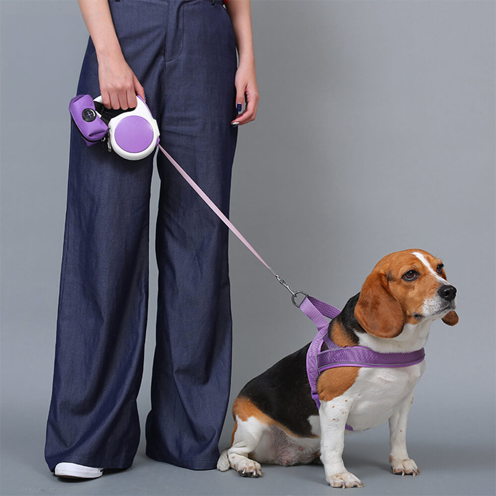 Collare e guinzaglio per cani in nylon riflettente regolabile senza tirare.