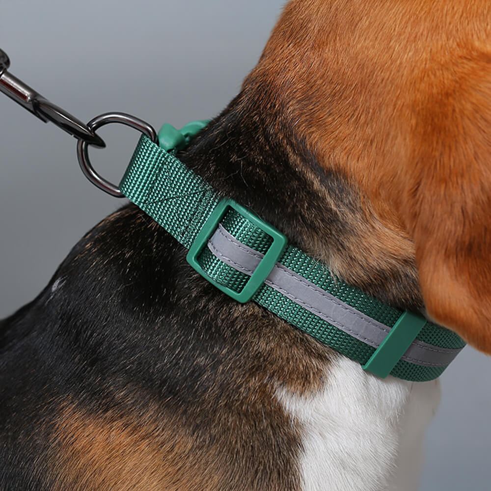 Collare e guinzaglio per cani in nylon riflettente regolabile senza tirare.