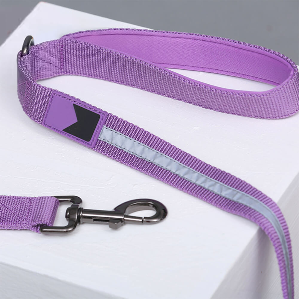 Collare e guinzaglio per cani in nylon riflettente regolabile senza tirare.