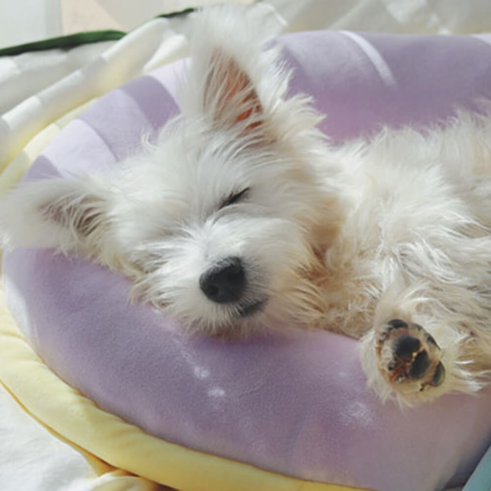 Cuscino ortopedico per il sonno del cane con supporto per la colonna vertebrale