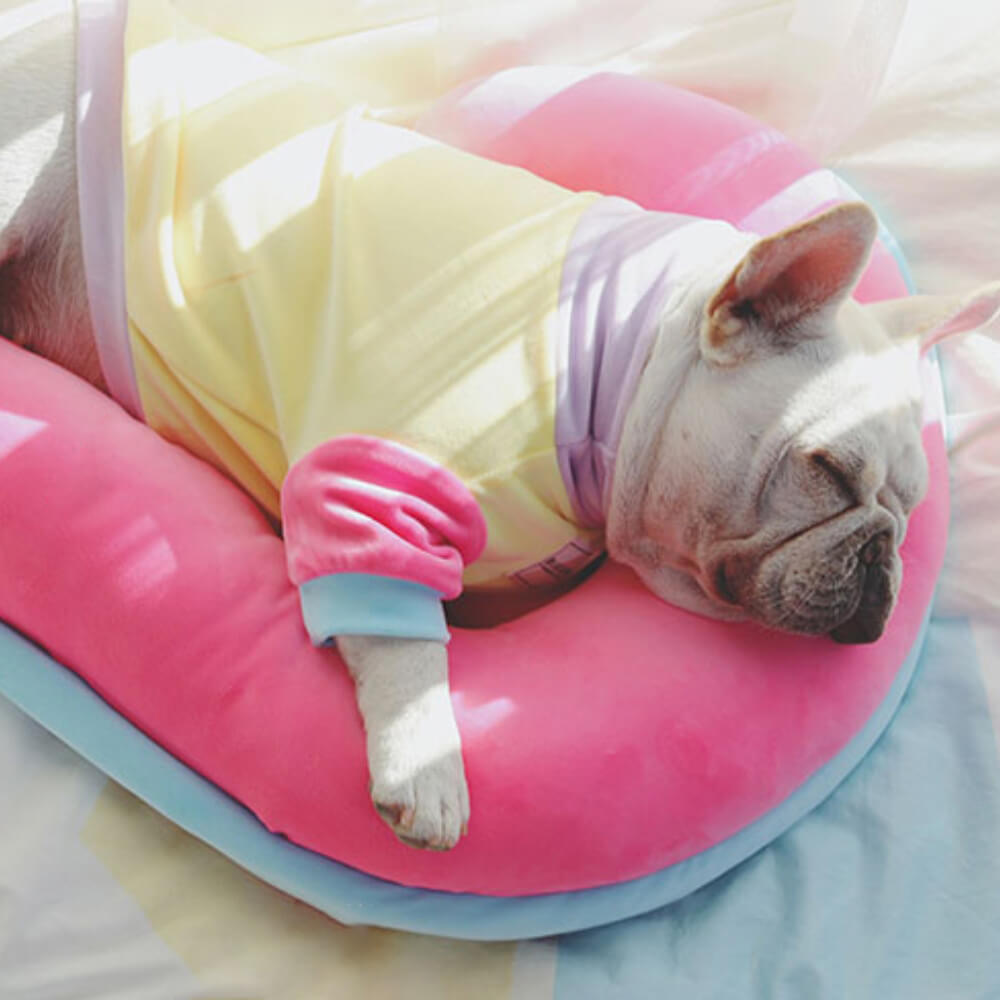 Cuscino ortopedico per il supporto della colonna vertebrale per cani.