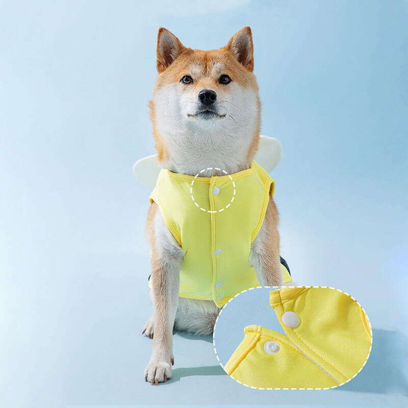 Abbigliamento per protezione solare per animali domestici per sport all'aria aperta Accessori per cani fantastici Gilet rinfrescante