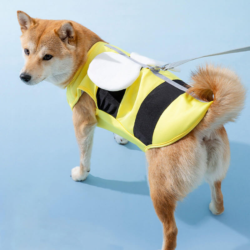 Abbigliamento per protezione solare per animali domestici per sport all'aria aperta Accessori per cani fantastici Gilet rinfrescante