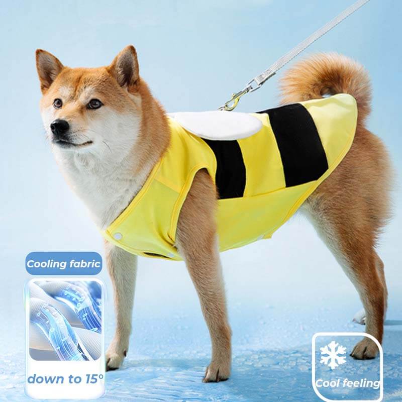 Abbigliamento per protezione solare per animali domestici per sport all'aria aperta Accessori per cani fantastici Gilet rinfrescante