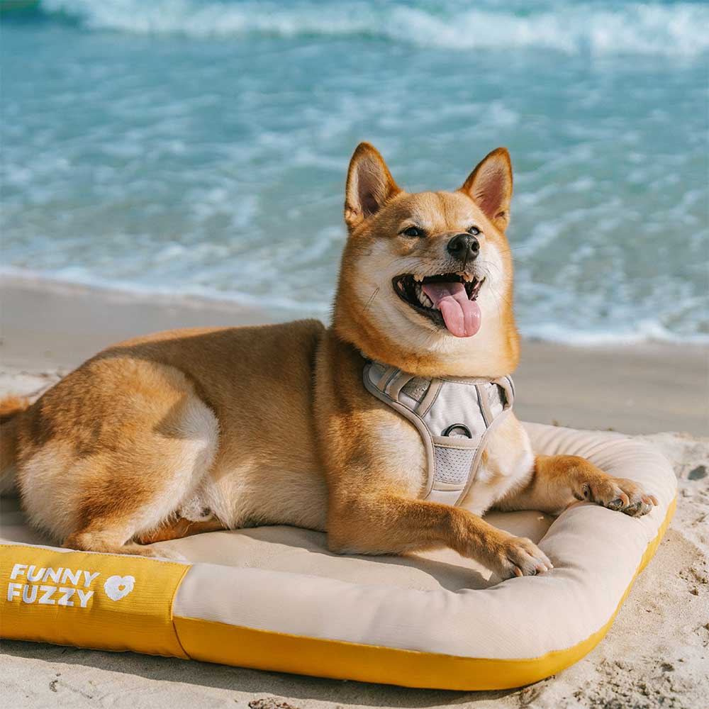 Tappetino ortopedico per cani resistente all'acqua e ai graffi, con colori a blocchi - Trek Lounge
