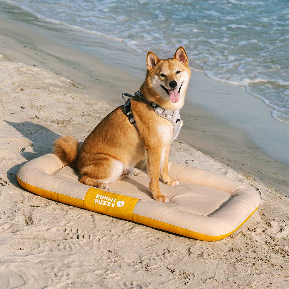 Tappetino ortopedico per cani resistente all'acqua e ai graffi, con colori a blocchi - Trek Lounge