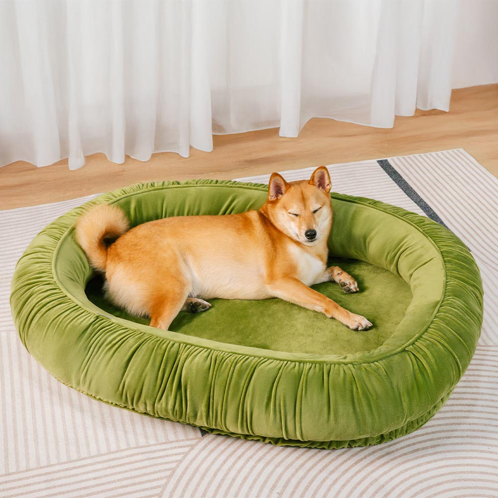 Supporto ortopedico ovale accogliente per cani e gatto staccabile accogliente