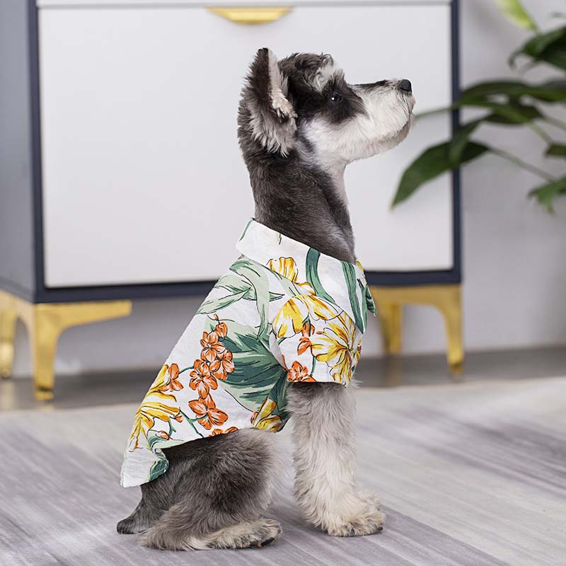 Chemise hawaïenne assortie pour vêtements de chien et de propriétaire