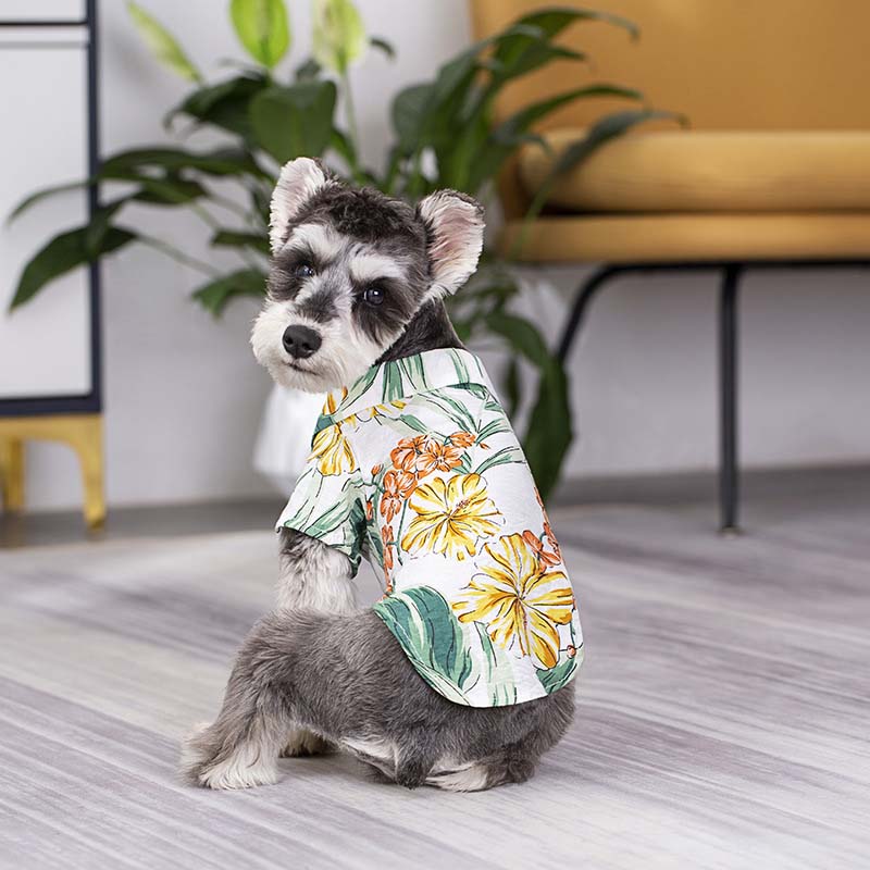 Camicia hawaiana abbinata per vestiti di cani e proprietari