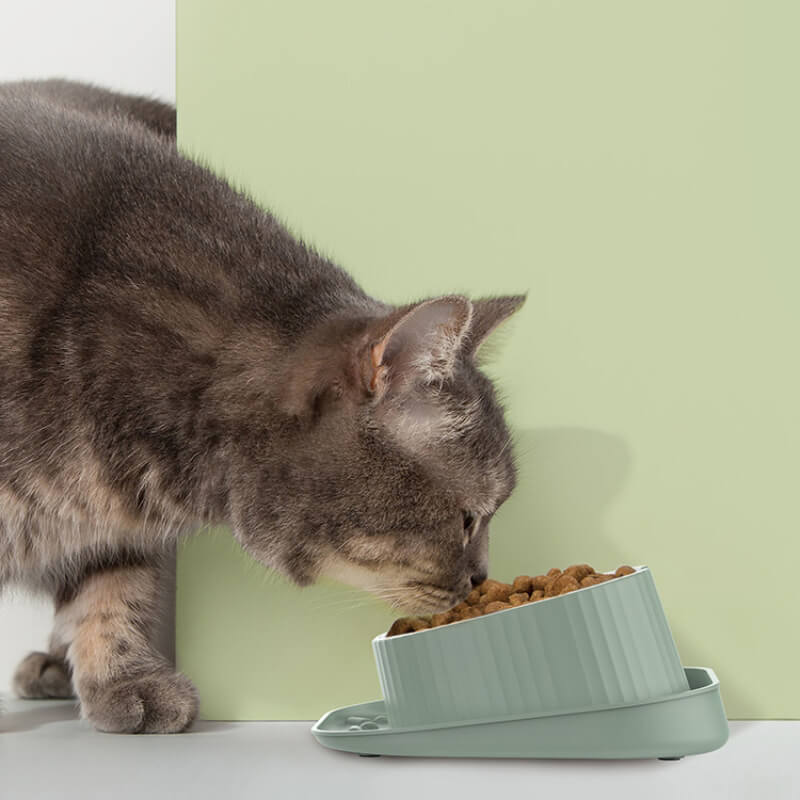 Pet Neck Guard Spill-proof Feeding Bowl