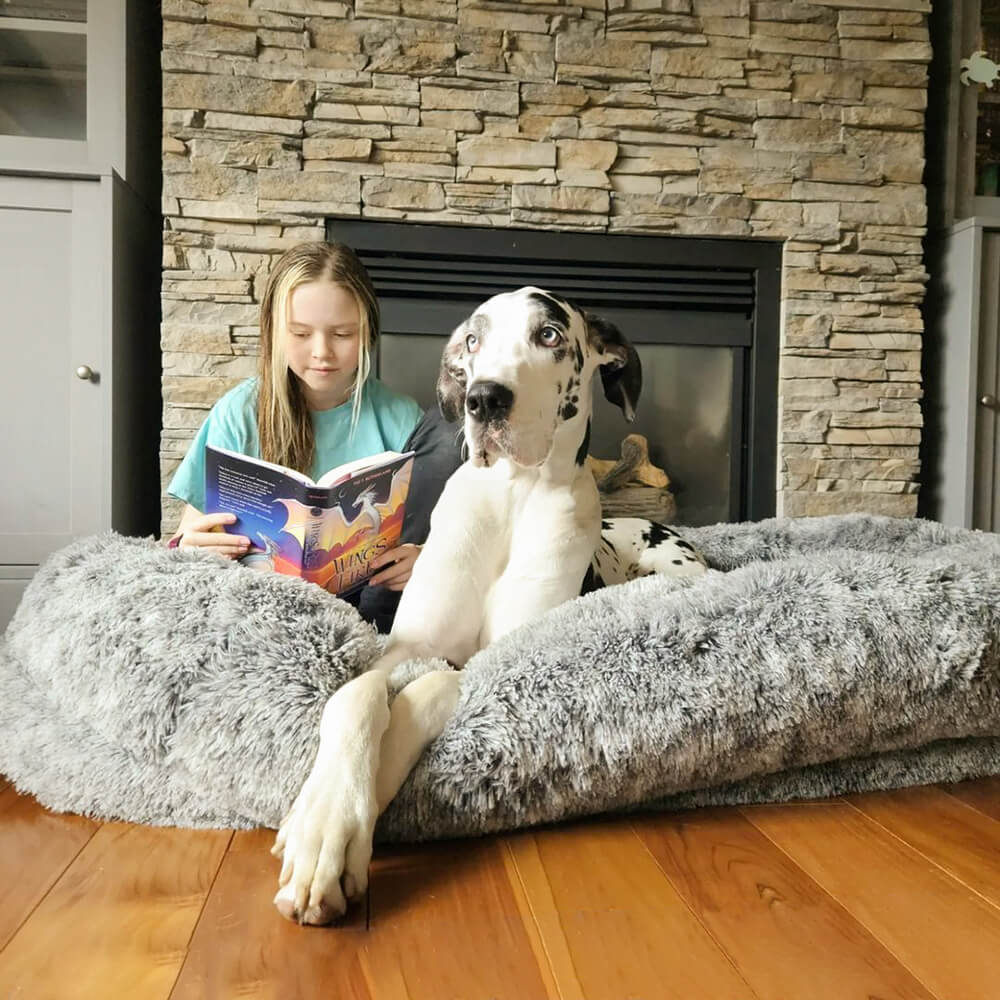 Plush Fluffy Large Orthopedic Human-Dog Bolster Bed