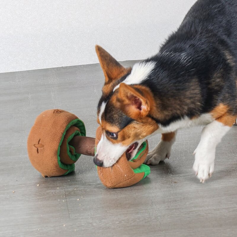 Distributore di cibo puzzle Giocattolo interattivo per cani in forma di manubrio con premi