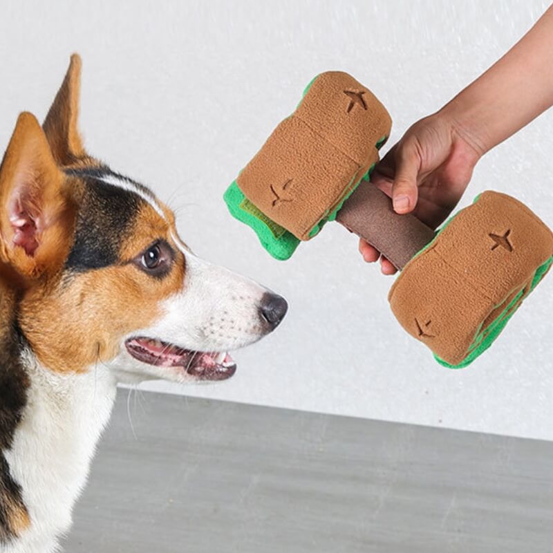 Distributore di cibo puzzle Giocattolo interattivo per cani in forma di manubrio con premi