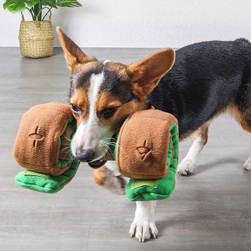 Distributore di cibo puzzle Giocattolo interattivo per cani in forma di manubrio con premi