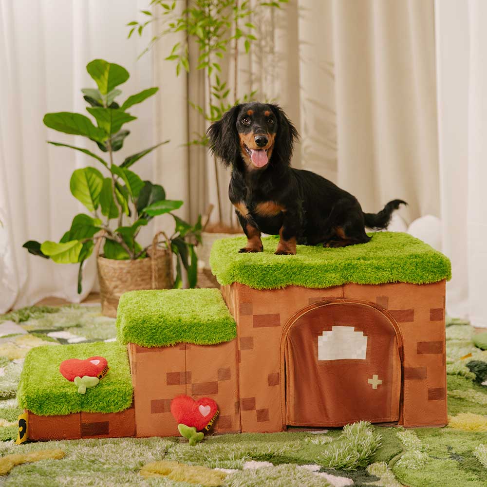 Scale per animali domestici pieghevoli artigianali Retro Pixel con stoccaggio - Blocky PawGame