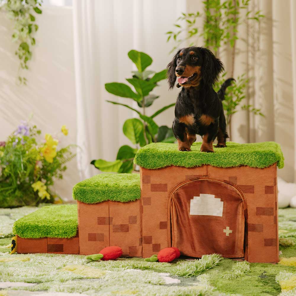 Scale per animali domestici pieghevoli artigianali Retro Pixel con stoccaggio - Blocky PawGame