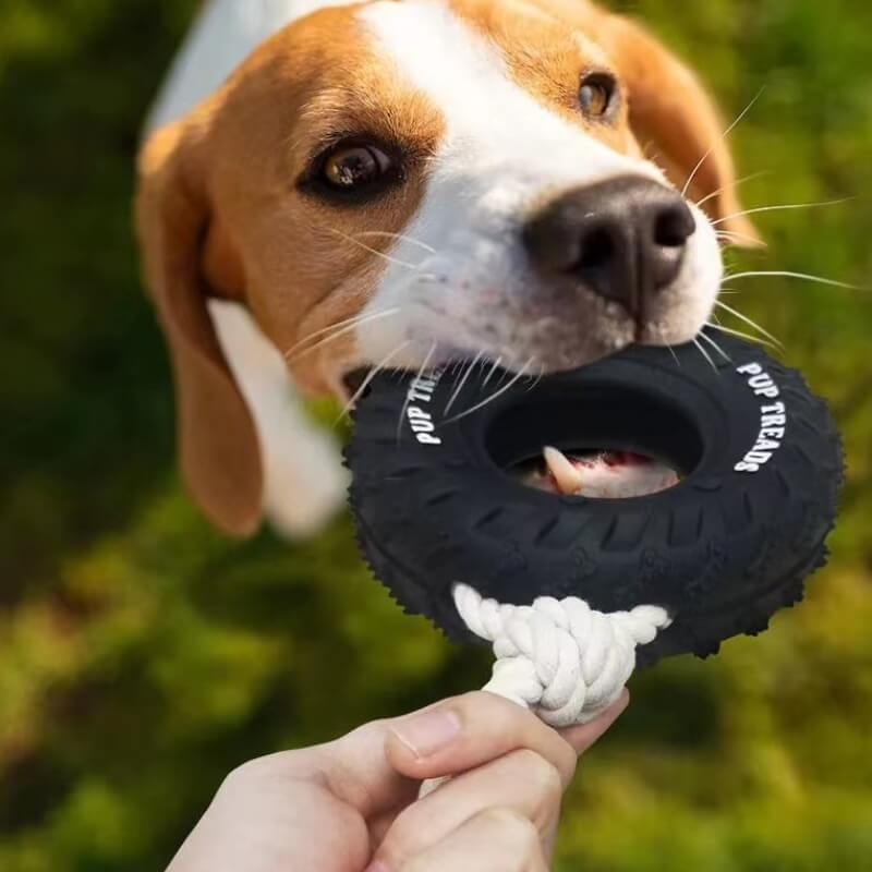 Giocattolo interattivo in gomma per cani, per la dentizione e masticazione.