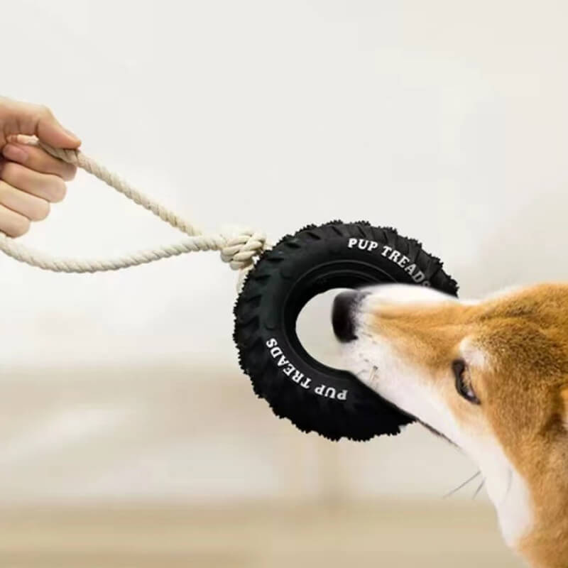 Giocattolo interattivo in gomma per cani, per la dentizione e masticazione.