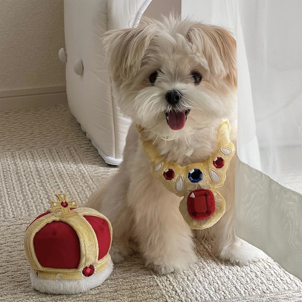 Jewel Crown Necklace Shape Squeaker Teeth Cleaning Plush Dog Toy