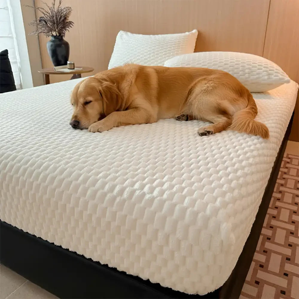 Set di Federe per Materasso Protettivo in Pile Morbido e Amico della Pelle