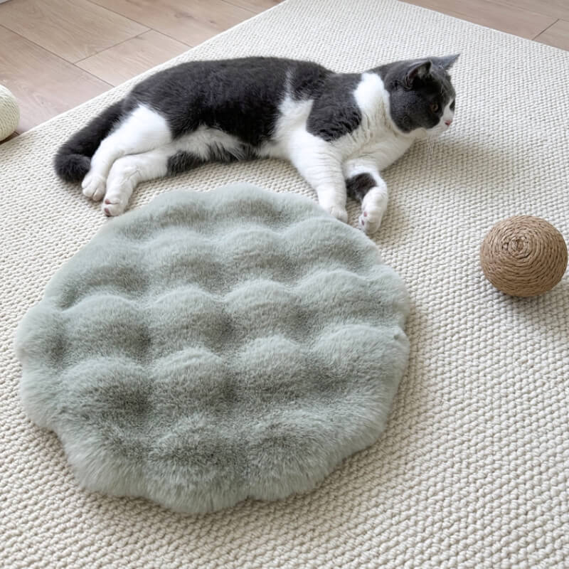 Cuscino per animali domestici in morbido peluche caldo, tappetino rotondo per cani.