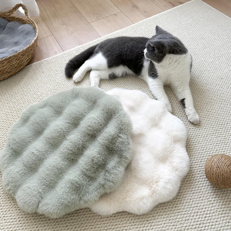 Cuscino per animali domestici in morbido peluche caldo, tappetino rotondo per cani.