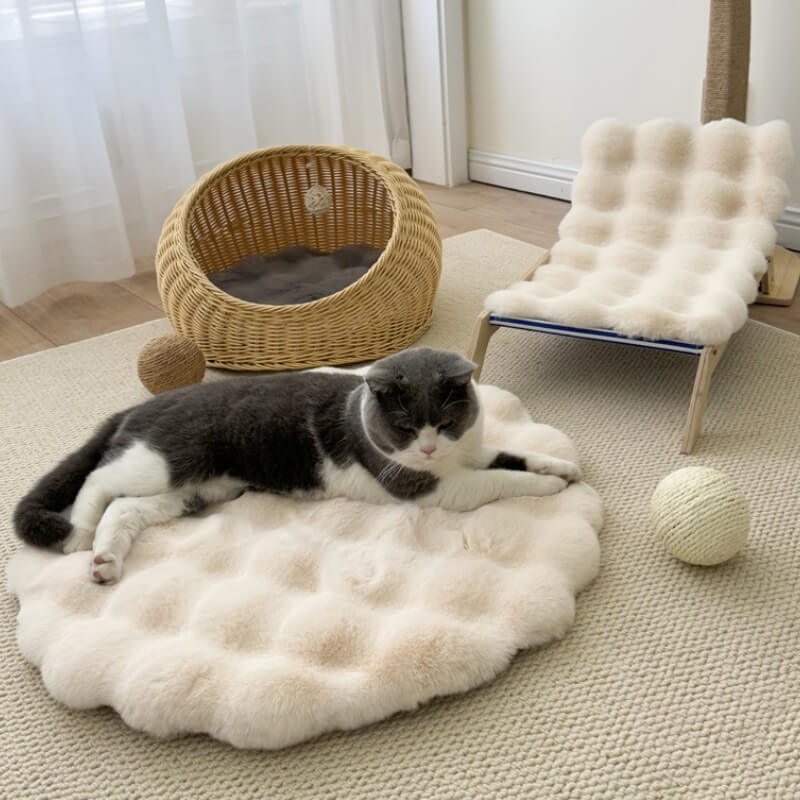 Tapis de couchage rond en peluche douce et chaude pour animaux de compagnie