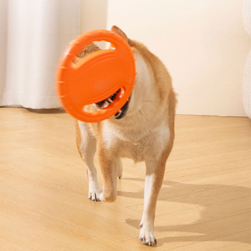 Gioco interattivo per cani a forma di disco volante in gomma per volante