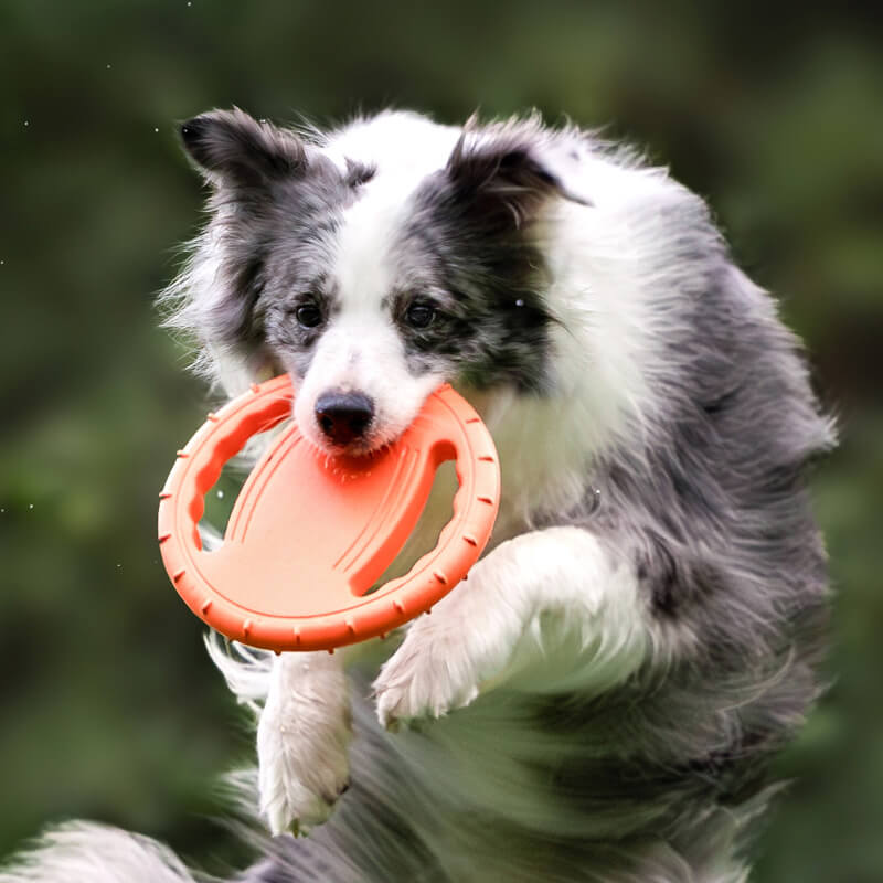 Gioco interattivo per cani a forma di disco volante in gomma per volante