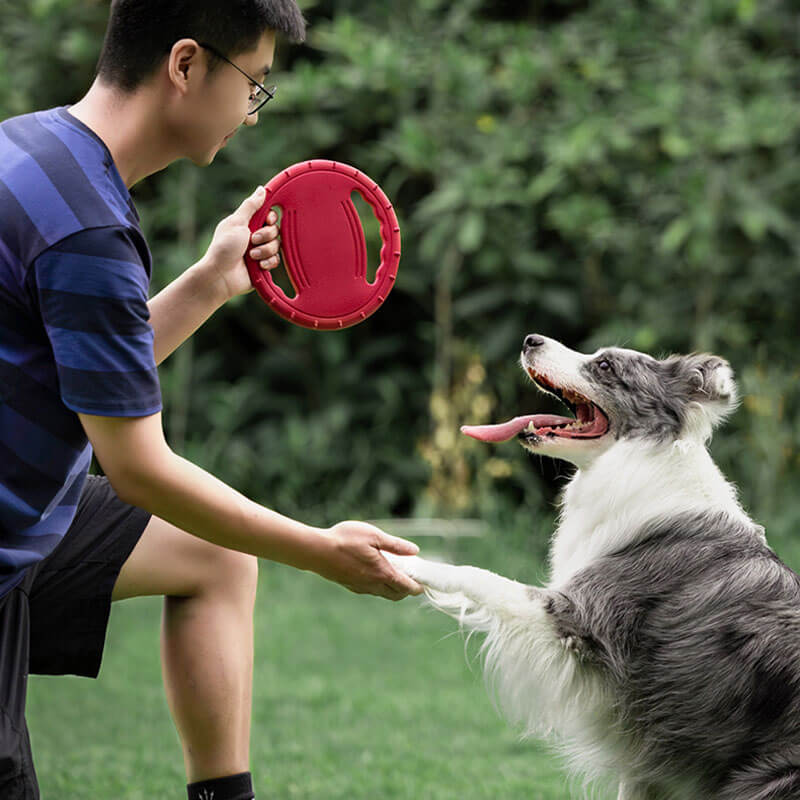 Gioco interattivo per cani a forma di disco volante in gomma per volante