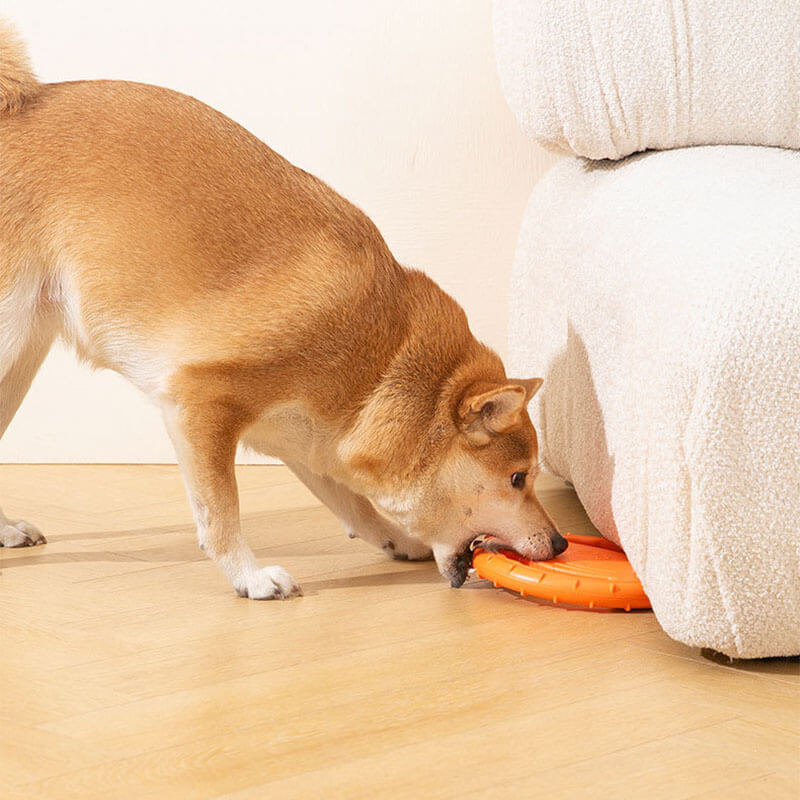 Gioco interattivo per cani a forma di disco volante in gomma per volante