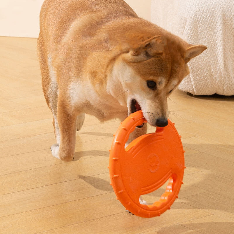 Gioco interattivo per cani a forma di disco volante in gomma per volante