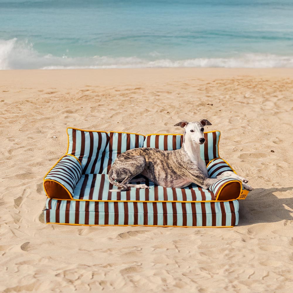 Letto per cani grande pieghevole e impermeabile Stripe - Sunny Siesta