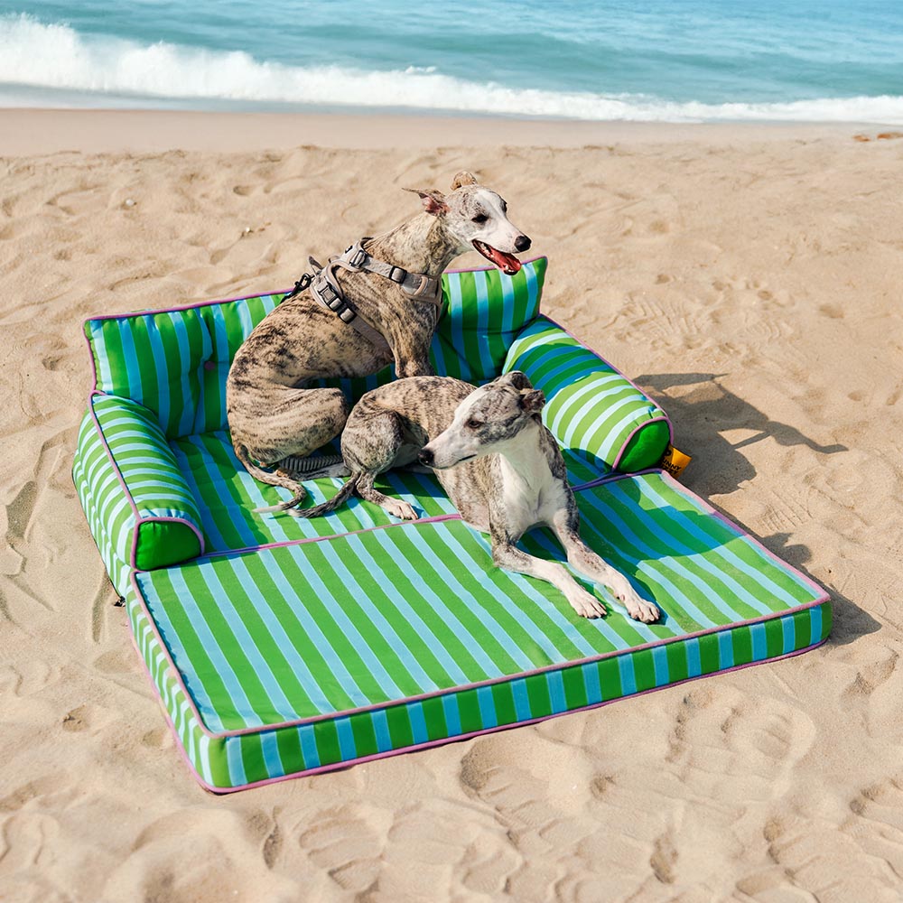 Letto per cani grande pieghevole e impermeabile Stripe - Sunny Siesta