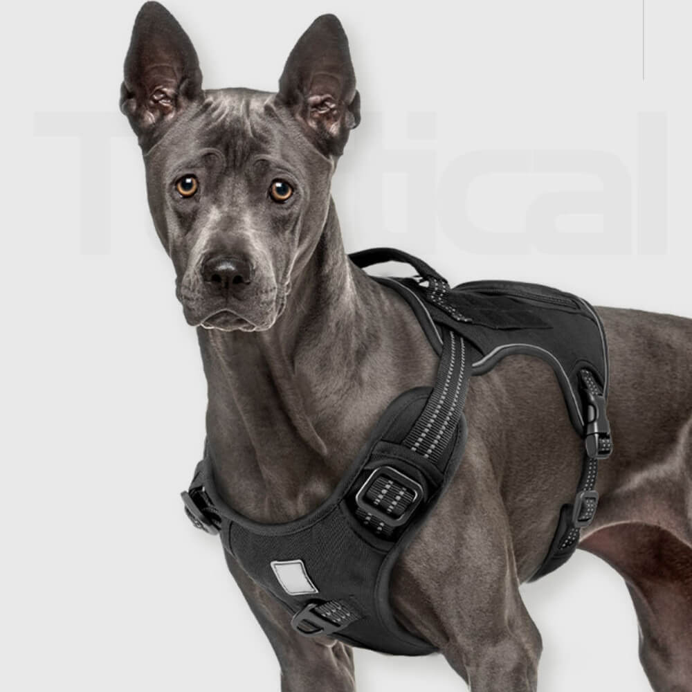 Pettorina per cani tattica pesante, senza tiraggio, facile da indossare e da togliere